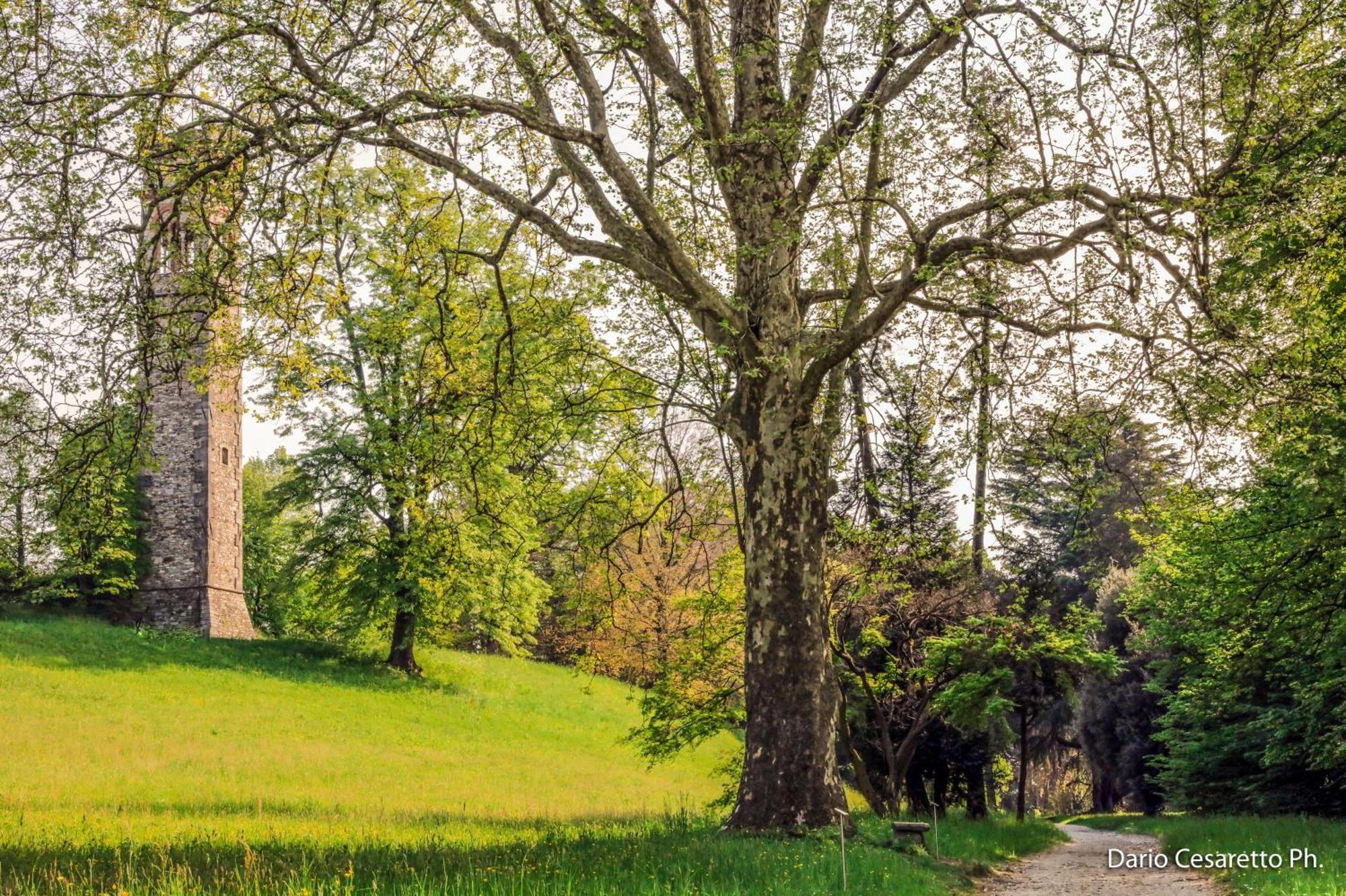 Villa Cagnola Schianno Екстериор снимка